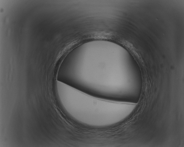X0000087520299200704270826
