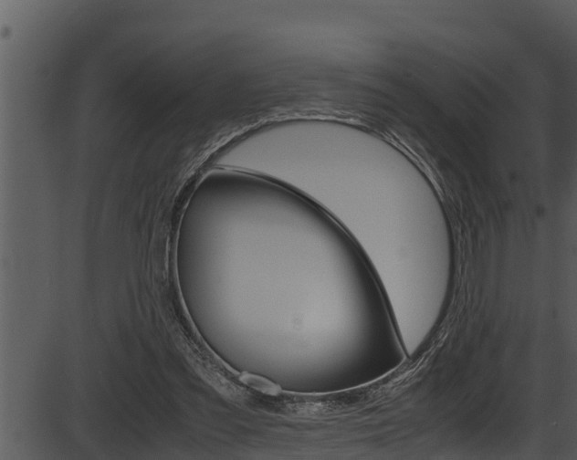 X0000087520301200704270826