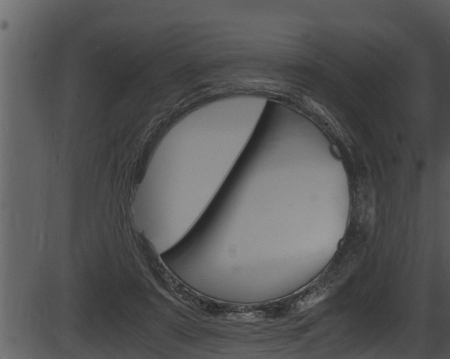 X0000087520307200704270825