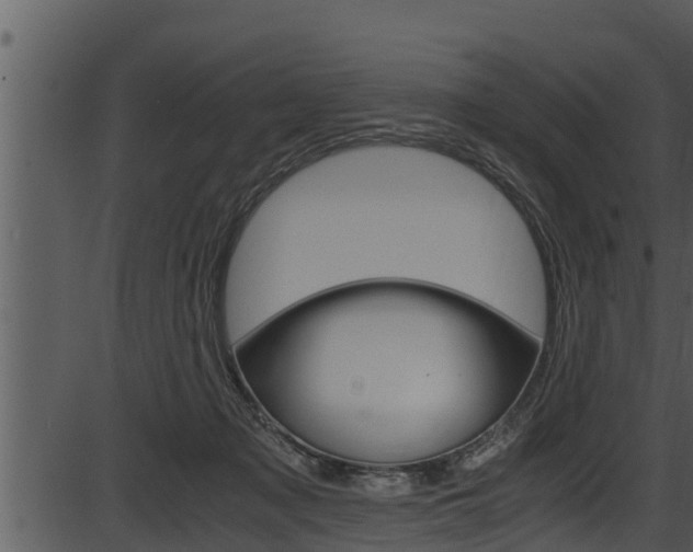 X0000087520317200704270825