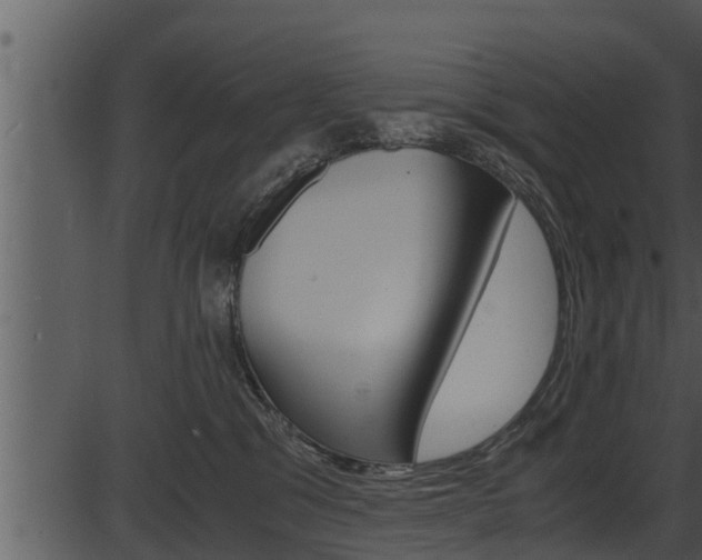 X0000087520329200704270825