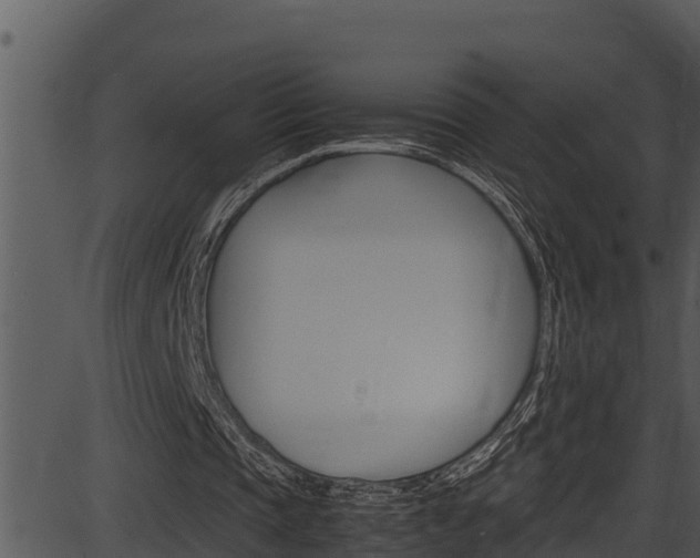 X0000087520337200704270824