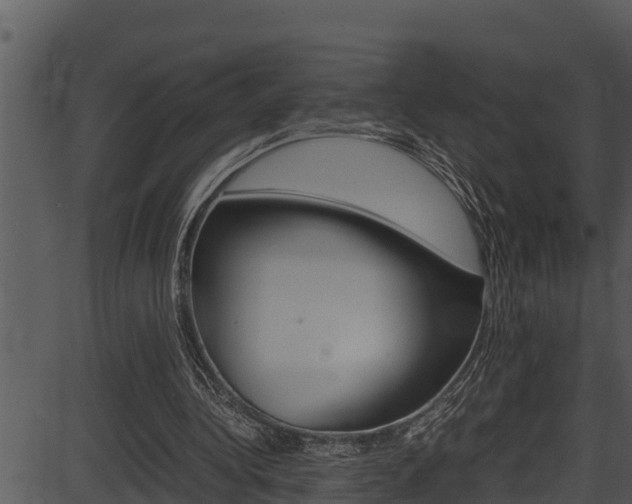 X0000087520340200704270824