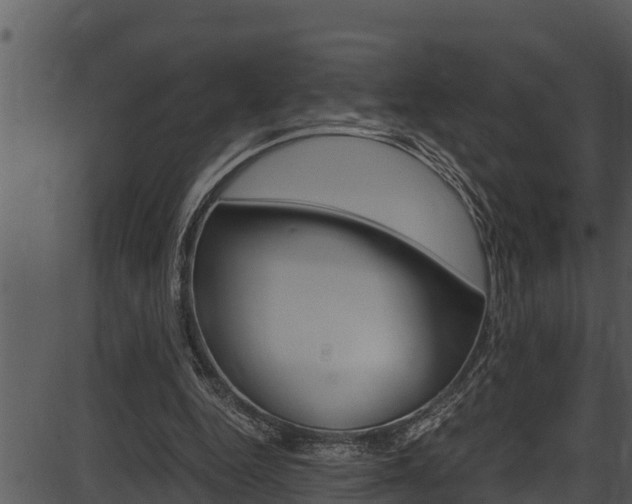 X0000087520344200704270824