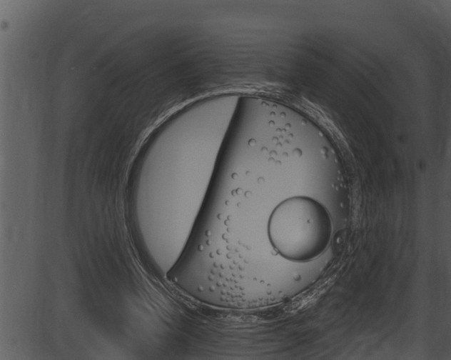 X0000087520346200704270824
