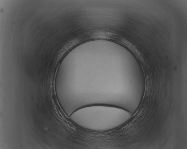 X0000087520386200704270824
