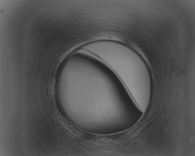 X0000087520387200704270824