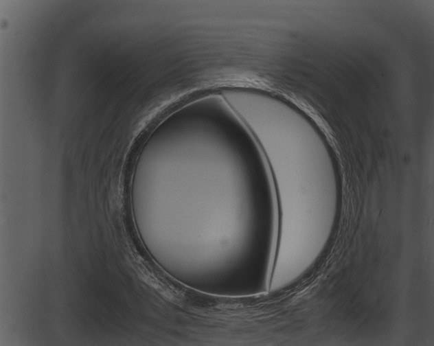 X0000087520391200704270824