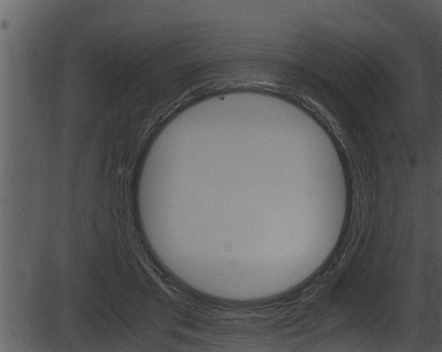 X0000087520405200704270824