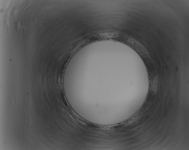 X0000087520418200704270824