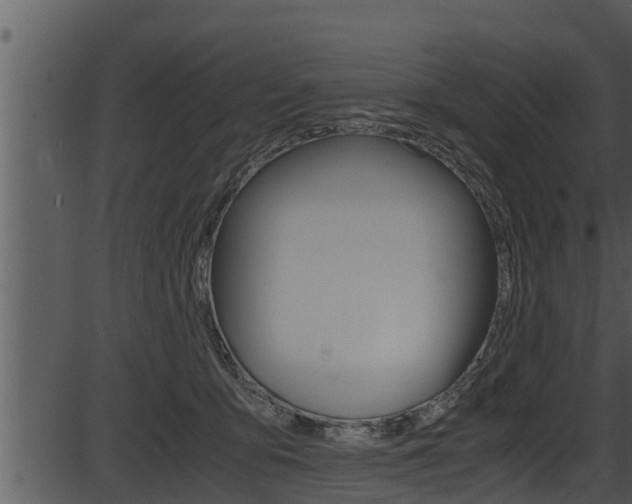 X0000087520419200704270824