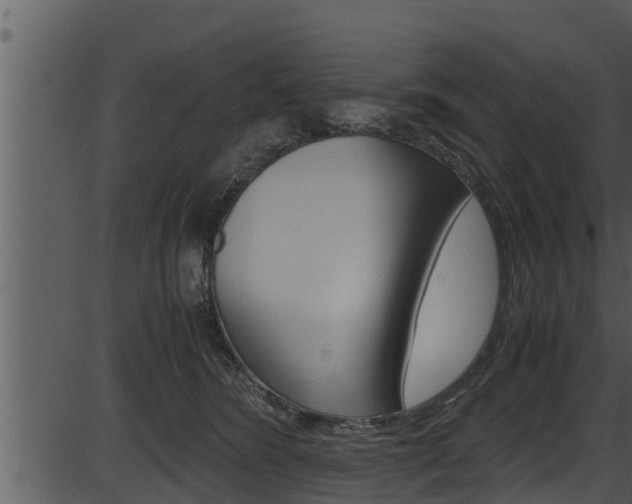 X0000087520420200704270824