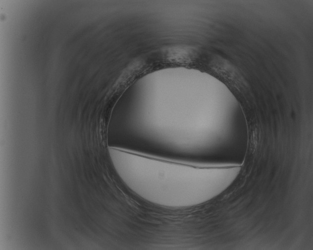 X0000087520424200704270824