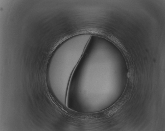 X0000087520434200704270823