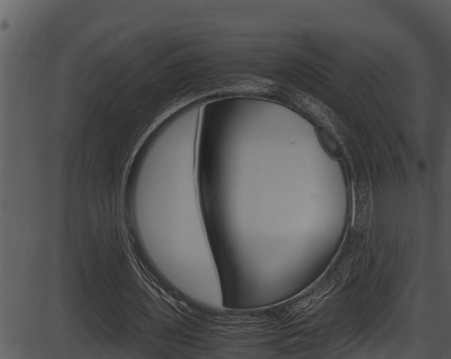 X0000087520435200704270823