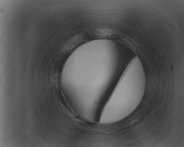 X0000087520462200704270823