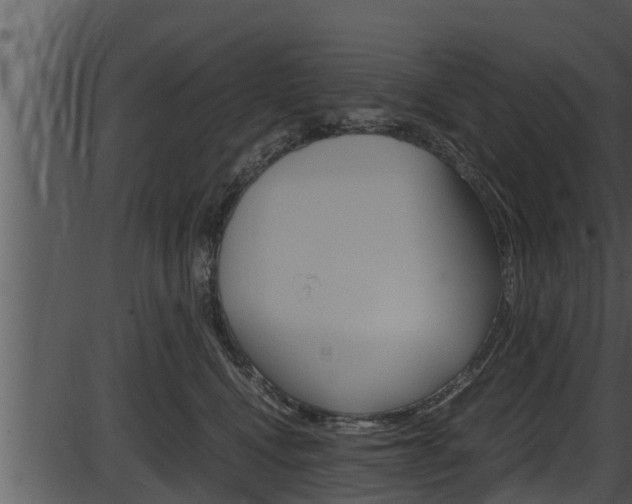 X0000087520472200704270823