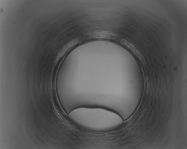 X0000087520482200704270823