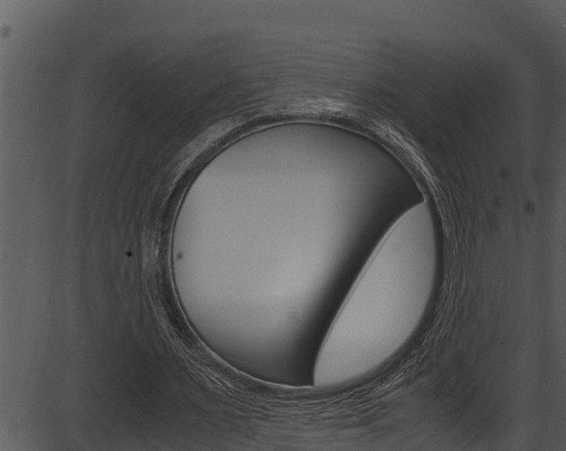 X0000087520483200704270823