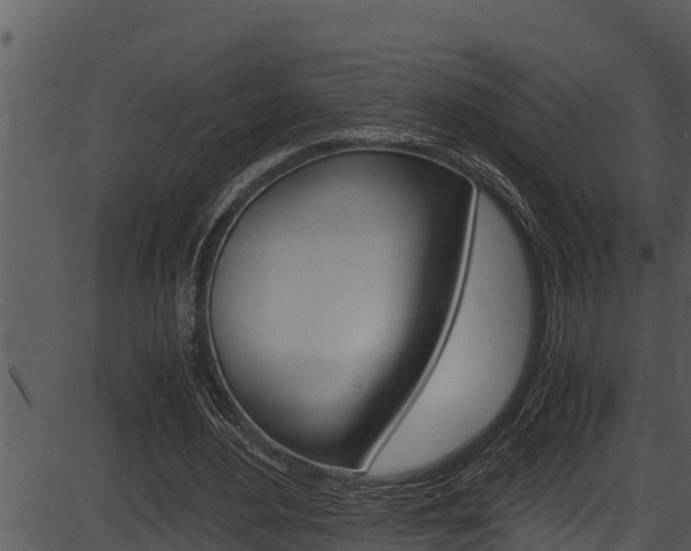 X0000087520484200704270823