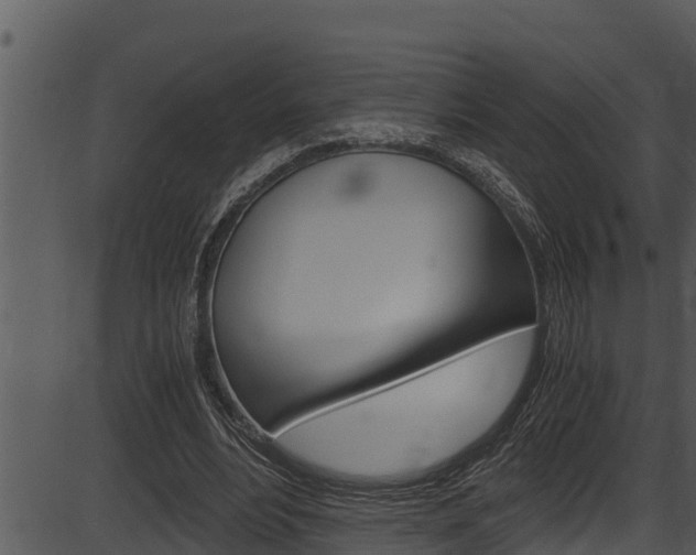 X0000087520488200704270823