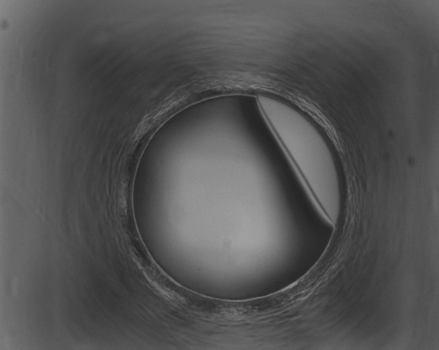 X0000087520489200704270823