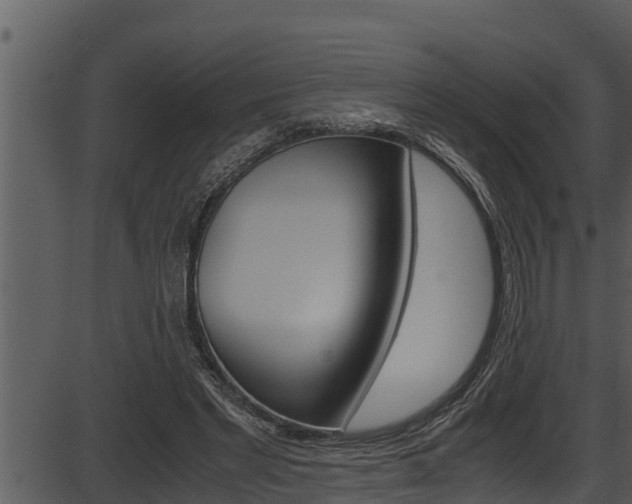 X0000087520493200704270822