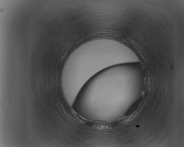 X0000087520512200704270822