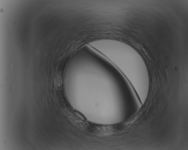 X0000087520517200704270822
