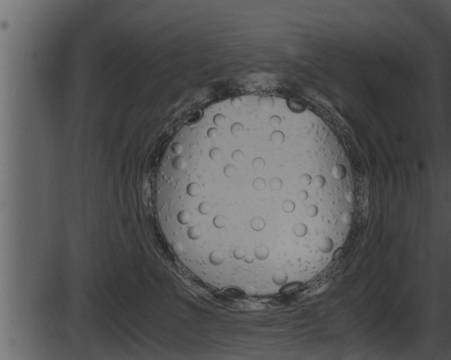 X0000087520523200704270822