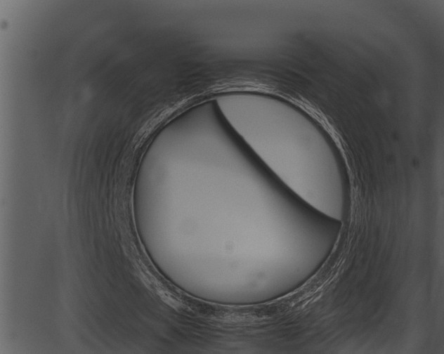X0000087520529200704270821