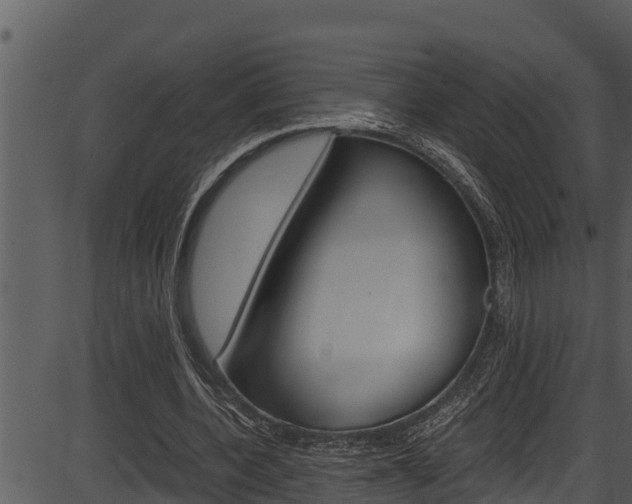 X0000087520532200704270821