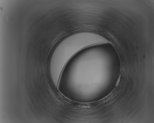 X0000087520552200704270821
