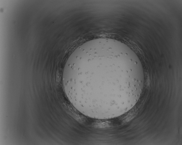 X0000087520569200704270822
