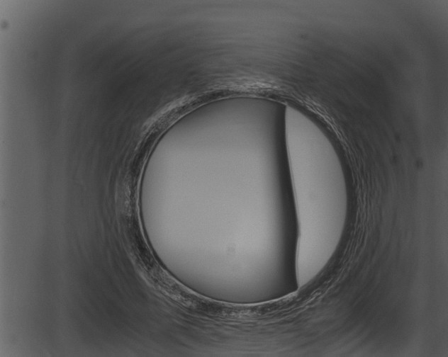 X0000087520587200704270821