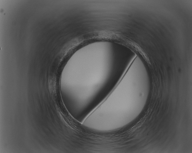 X0000087520588200704270821