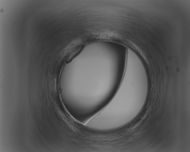 X0000087520589200704270821