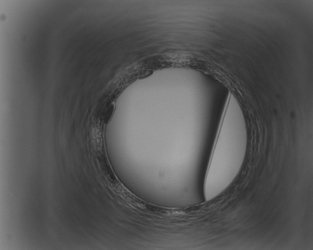 X0000087520609200704270821
