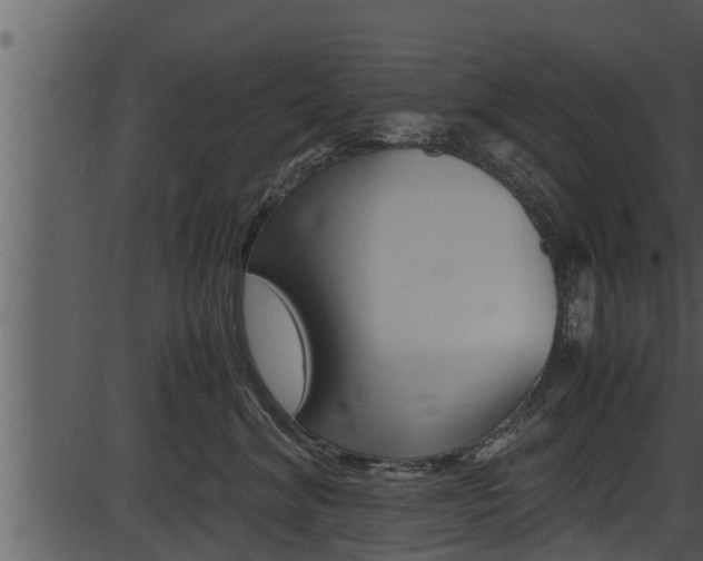 X0000087520620200704270820