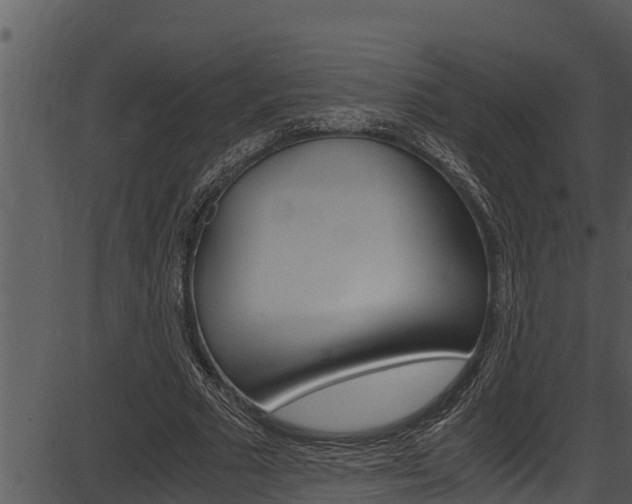 X0000087520681200704270819