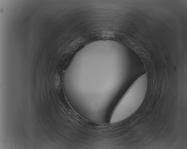 X0000087520704200704270819