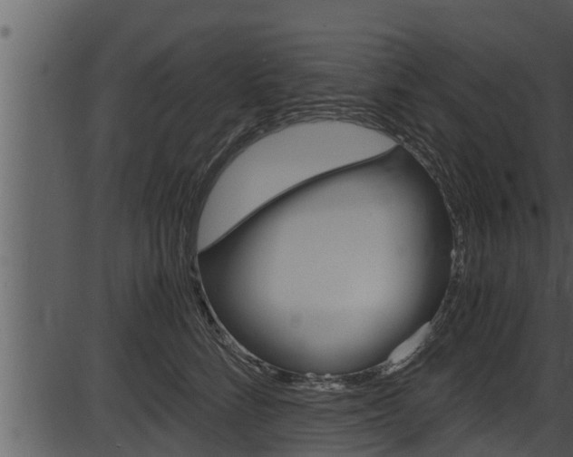 X0000087520712200704270819