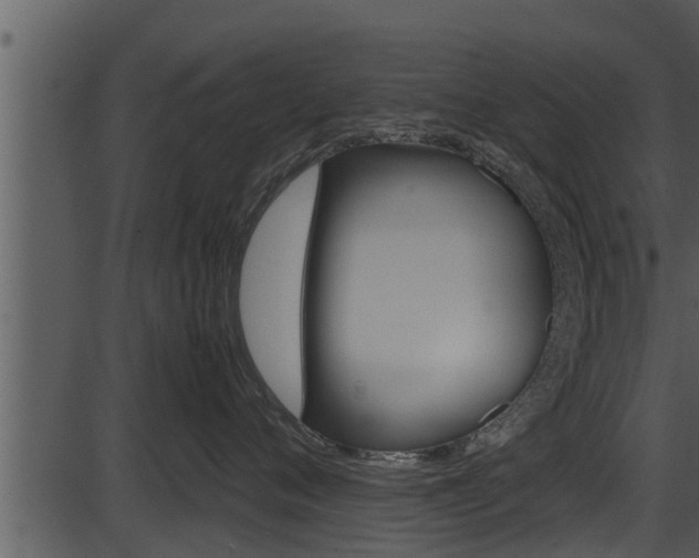X0000087520720200704270819