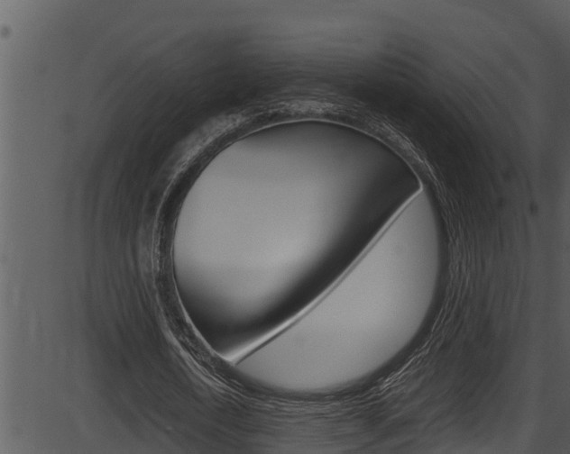X0000087520722200704270818