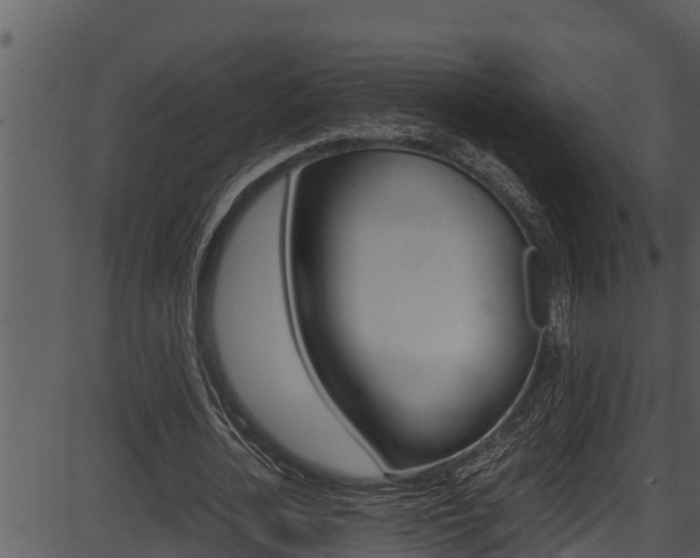 X0000087520724200704270818