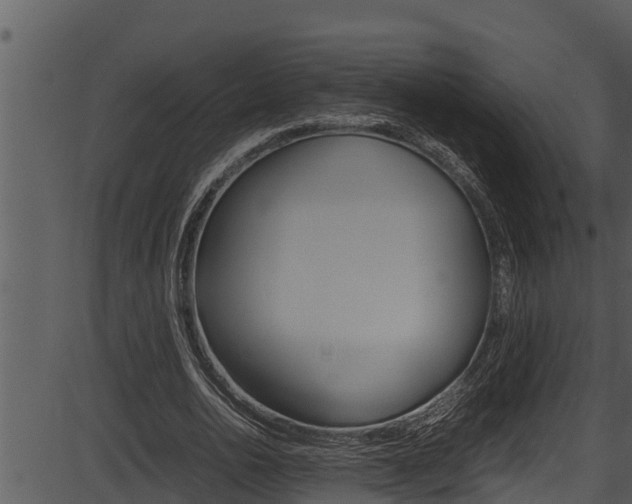 X0000087520726200704270818