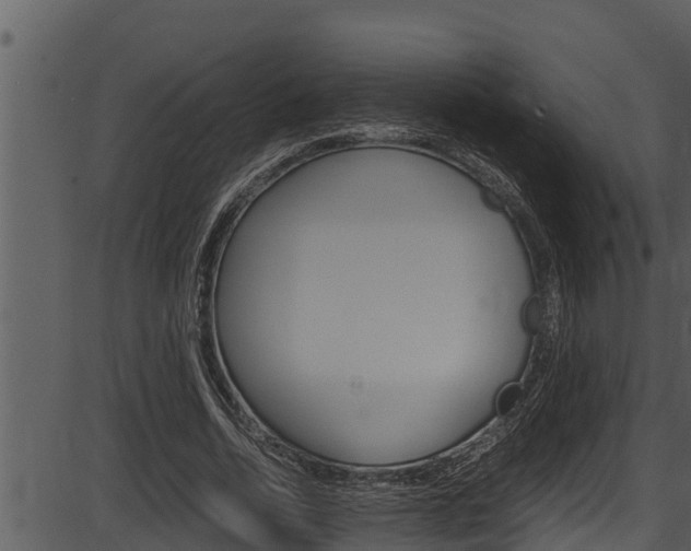 X0000087520730200704270818