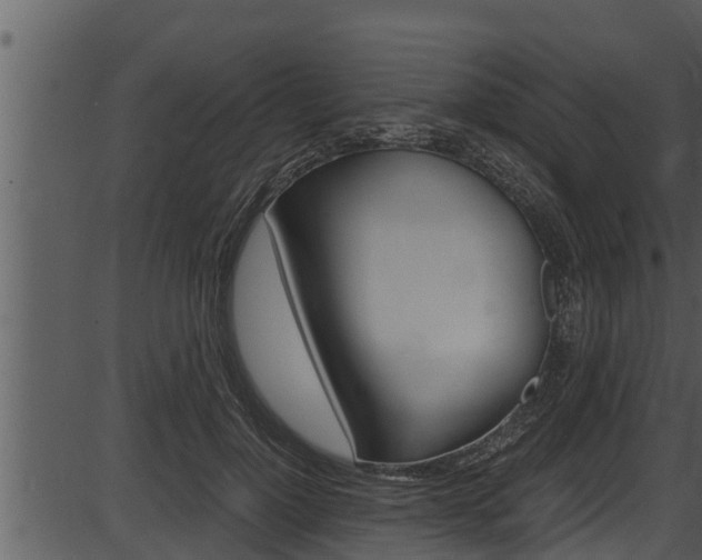 X0000087520748200704270818