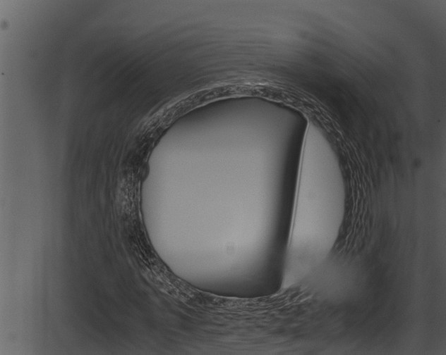 X0000087520773200704270818