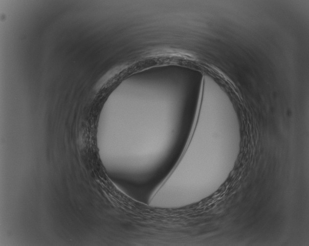 X0000087520775200704270818
